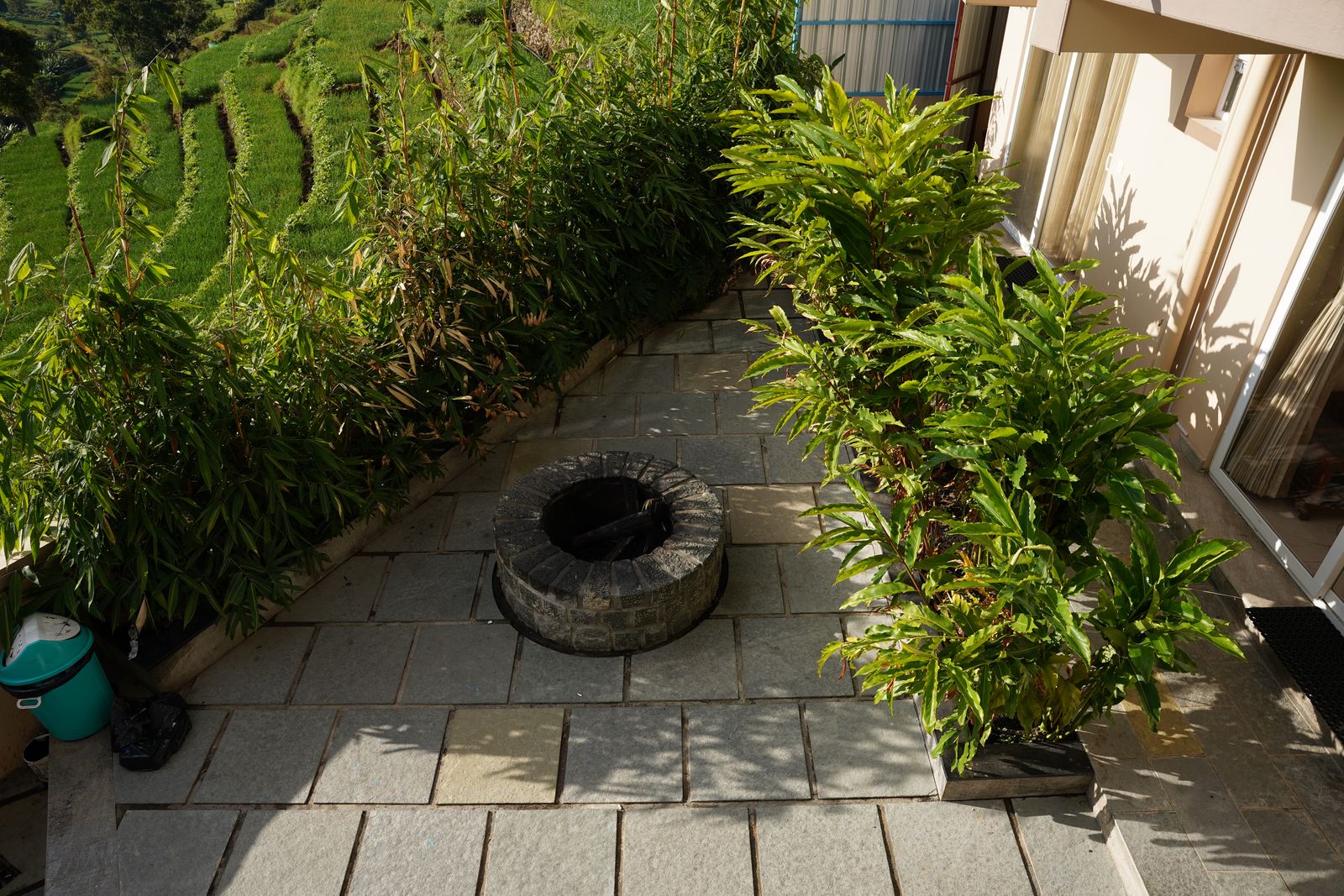 An empty stone firepit on a paved garden patio by day, bordered by bamboo and potted plants.